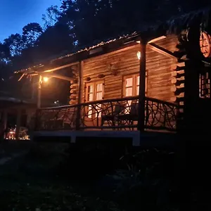 Aya Natural Udumbanshola